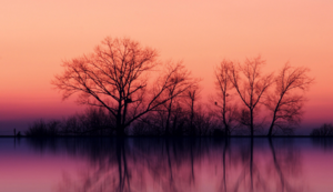 土耳其运动员稳扎稳打获得佳绩