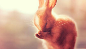 土耳其运动员稳扎稳打获得佳绩