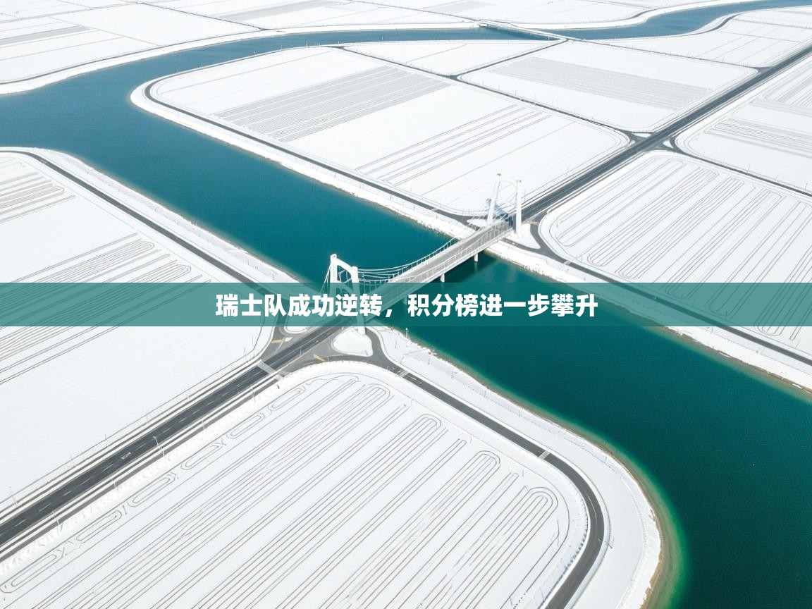 瑞士队成功逆转,积分榜进一步攀升