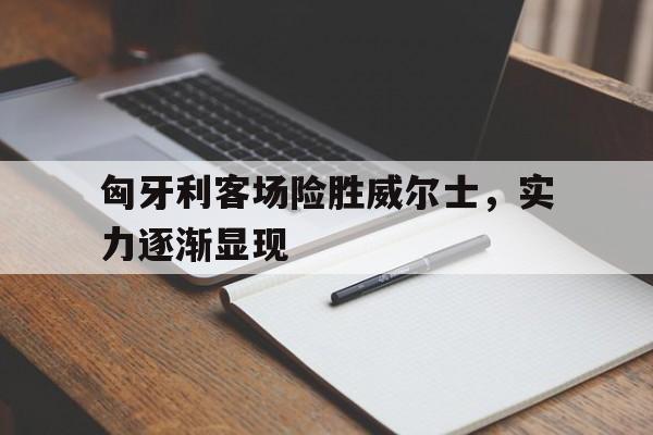 九游体育官方入口-匈牙利客场险胜威尔士，实力逐渐显现的简单介绍